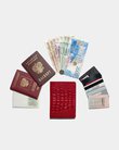 Красный портмоне с документами вокруг